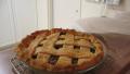 Mincemeat Pie (Diabetic) created by Southern Sister