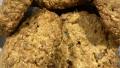 Diabetic Oatmeal-Raisin Cookies created by Nick G.