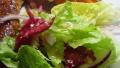 Salad Greens With Honey-Mustard Dressing created by SharleneW