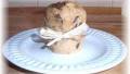 Choc-Chip Banana Muffins (Gluten, Dairy and Egg-Free) created by bearhouse5