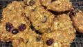 Healthy Honey Oatmeal Cookies created by kimciccone07