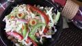 Spectacular Overnight Cole Slaw created by CookinDiva