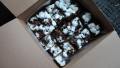 Chewy Rocky Road Brownies created by buttercreambarbie