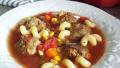 Lotsa Veggies Meatball Soup (Crock Pot) created by  Pamela 