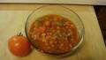 Hearty Spicy Tomato Vegetable Soup created by Cookie in Ontario