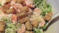 Caesar Salad Chiffonade With Shrimp or Crab created by Alskann
