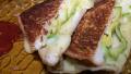 Grilled Havarti and Avocado Sandwiches created by Baby Kato