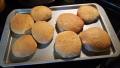 Whole Wheat Hamburger and Hot Dog Buns (Bread Machine) created by Feisty