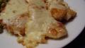 Parmesan Chicken Breasts created by NoraMarie