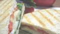 Four Cheese Panini With Basil Tomatoes created by Charlotte J