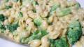 All-In-One Broccoli Macaroni and Cheese created by lauralie41