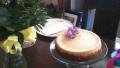 Limoncello Liqueur  Plus Cheesecake Squares created by less2saw