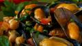 Moroccan Style Mussels created by Thorsten