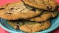 Chocolate Chip Maple-Pecan Cookies created by loof751