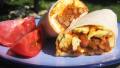 Chili Cheese Omelette Burritos created by Charmie777