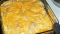 Cheese & Potato Bake (A.k.a. Scalloped Potatoes) created by Dollarstitch.com