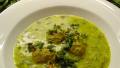 Middle Eastern Lamb and Spinach Soup created by Syrinx