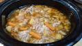 Crock Pot Pulled Chicken Stew created by Oliver1010