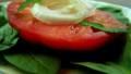Minty Onion Tomato Salad created by Andi Longmeadow Farm