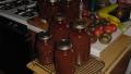 Aunt Ione's Bloody Mary Mix (Canning) created by Timothy H.