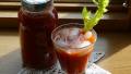 Aunt Ione's Bloody Mary Mix (Canning) created by Paula