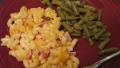 Baked Macaroni and Cheese With Ham created by Annacia