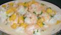 Thai Shrimp in Curried Coconut Sauce created by A Good Thing