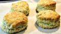Buttermilk Biscuits - Southern created by diner524