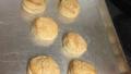 Grandma's Sourdough Biscuits created by Sandy 0225