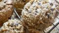 Oatmeal Chocolate Chip Lactation Cookies by Noel Trujillo created by jugglingmom4