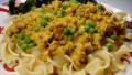Ground Turkey With Creamy Squash Sauce  over Noodles created by Lori Mama