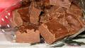 Easy 2-Ingredient Chocolate Fudge created by Lori Mama