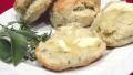 Onion and Herb Buttermilk Biscuits created by Derf2440