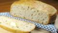 Zurie's Overnight No-Knead Bread created by dianegrapegrower