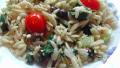 Wild Oats Greek Orzo and Spinach Salad created by Kumquat the Cats fr