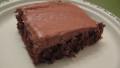 The Absolute Best Dark Chocolate Chocolate Chip Texas Sheet Cake created by Engrossed