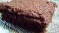 The Absolute Best Dark Chocolate Chocolate Chip Texas Sheet Cake created by Ratalouille
