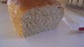 Wonderful Whole Wheat Bread created by anme7039
