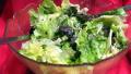 Butter Lettuce and Herb Salad created by Derf2440