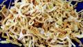 Oven Dried Onion / Garlic Flakes created by Rita1652
