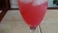 Sparkling Rhubarb Spritzer created by Mommy Diva