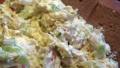Zingy Chicken Salad With Sour Cream created by windy_moon