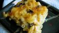 Baked Macaroni and Cheese created by flower7