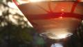 Mexican Cosmo created by Fiddler