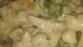 Chicken & Cream of Mushroom over Egg Noodles created by Kesha R.