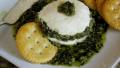 Easy Pesto Dip created by Caroline Cooks