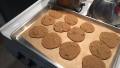 Chickpea Flour Chocolate Chip Cookies (Gluten-Free) created by AllieBrooklynBaker