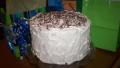 Cocoa and Cream Cake created by Lynne M