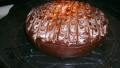Ultra Choc-Chip Cake created by Polly_Waffle_Kid