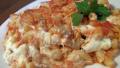 Pasta Al Forno (Baked Macaroni) created by Parsley